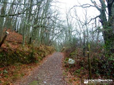 Valle del Ambroz-Sierra de Bejar - Gredos; clubs en madrid; rutas montaña madrid;trekking viajes